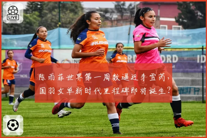 陈雨菲世界第一周数逼近李雪芮，国羽女单新时代里程碑即将诞生？