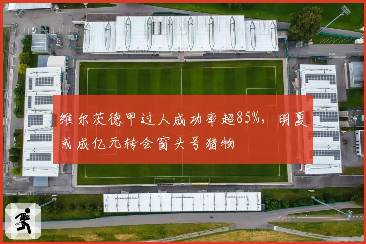 维尔茨德甲过人成功率超85%，明夏或成亿元转会窗头号猎物