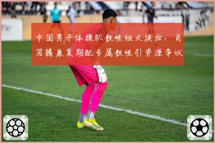 中国男子体操队教练组大换血，肖若腾康复期配专属教练引资源争议
